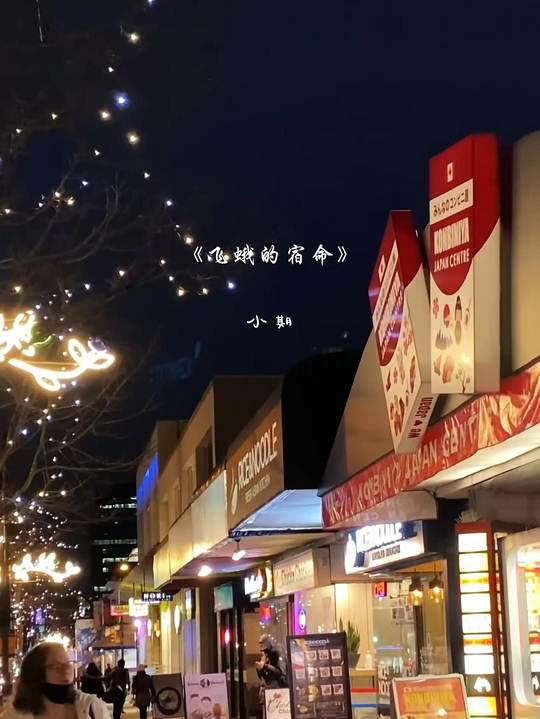 《飞蛾的宿命》小期 #热歌 #汽水音乐